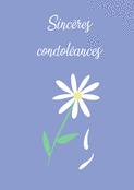 Fleurs blanches pour des pens&eacute;es sinc&egrave;res